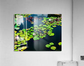 Whispers Beneath the Surface Acrylic Print