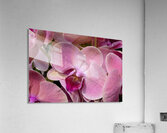 Whispers of Grace Impression acrylique