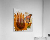 Grace in Bloom Acrylic Print