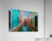 Alley of Pride and Reflection Acrylic Print