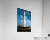 Sentinel Under Stars Acrylic Print