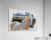 Keeper of Quiet Light Acrylic Print