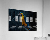 Rainforest Majesty Impression acrylique