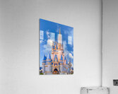Cinderella’s Castle Acrylic Print