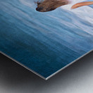 Embrace of the Waves  Metal print