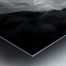 Timeless Elegance Metal print