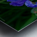 Azure Elegance Metal print