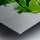 Still Verdant Metal print