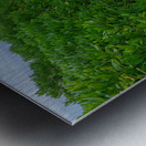 Path of Stillness Metal print