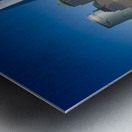 Resilience Rising Metal print