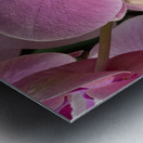 Whispers of Grace Impression metal