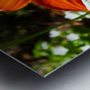 Ember Bloom Metal print