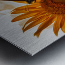 Grace in Bloom Metal print