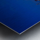 Crown of the Quiet River Metal print