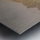 Summer Love Metal print