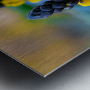 Whispers of Bloom and Light Metal print