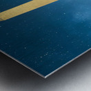 Sentinel Under Stars Metal print