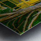 Sun light Shelter Barbados Metal print