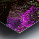 Majestic Roots Metal print