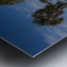 Elephant Beach Day Metal print