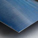 Serenity Interrupted Metal print