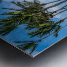 Palm Gate to the Atlantic Metal print