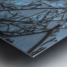 Cardinal in Winter Metal print