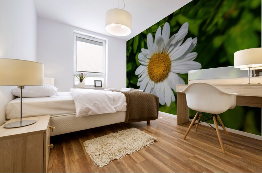 Solstice Whisper Mural print