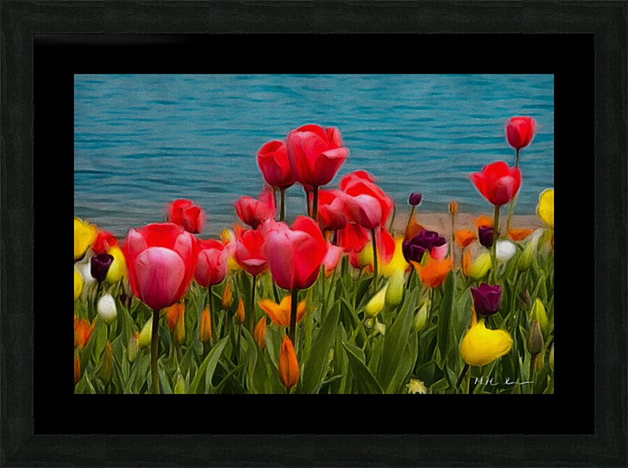 Tulips by the Water  Picture Frame print