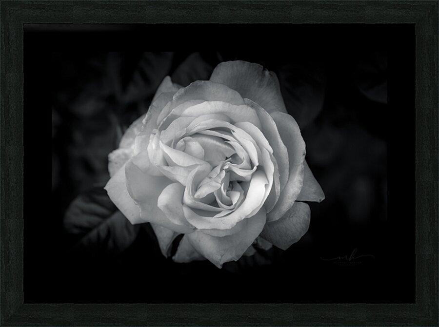 Timeless Elegance Picture Frame print