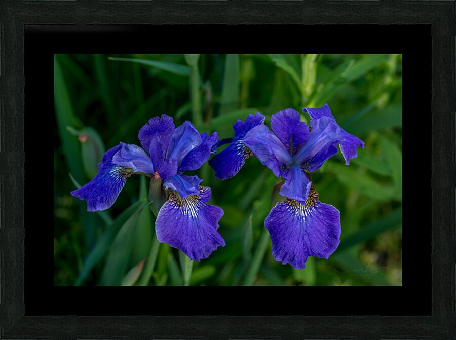 Azure Elegance Picture Frame print