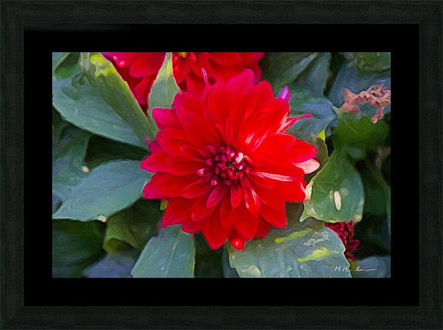 Crimson Grace Picture Frame print