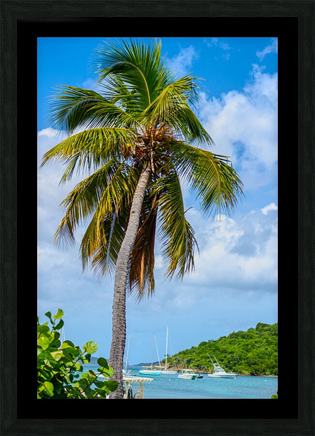 Whispers of the Horizon Picture Frame Printing
