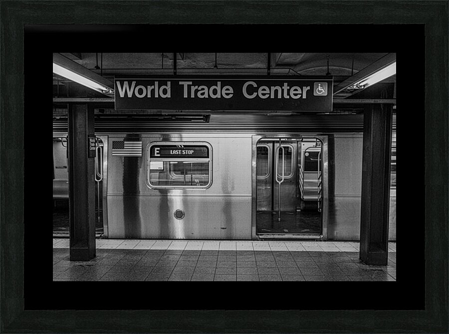 Terminus of Echoes Picture Frame print