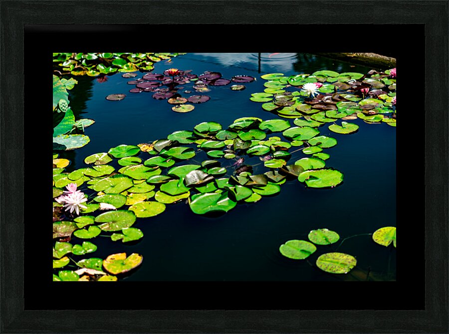 Whispers Beneath the Surface Picture Frame print