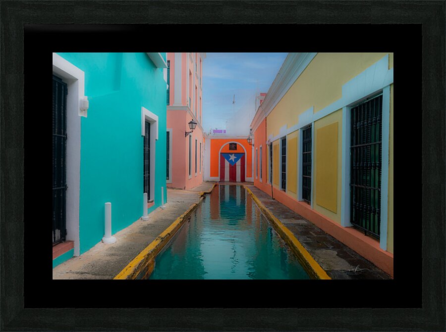 Alley of Pride and Reflection Picture Frame print