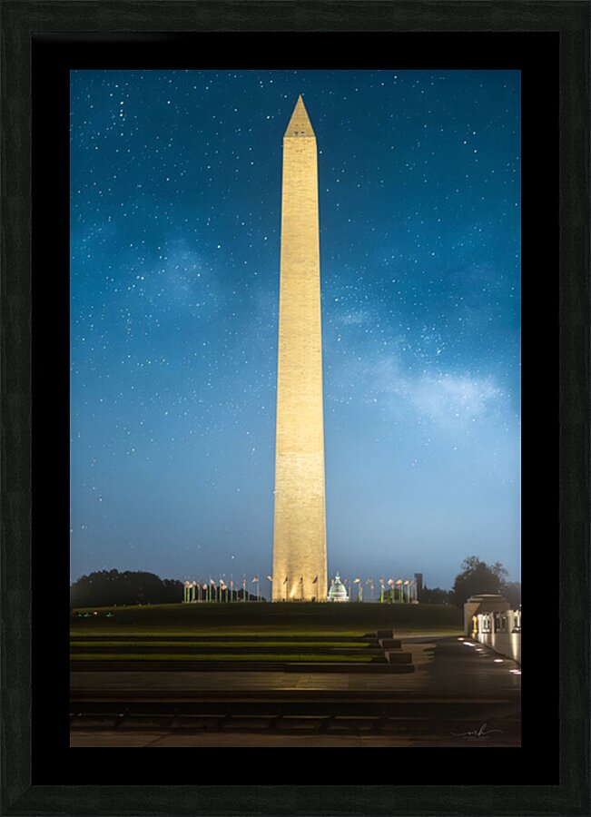 Sentinel Under Stars Picture Frame print