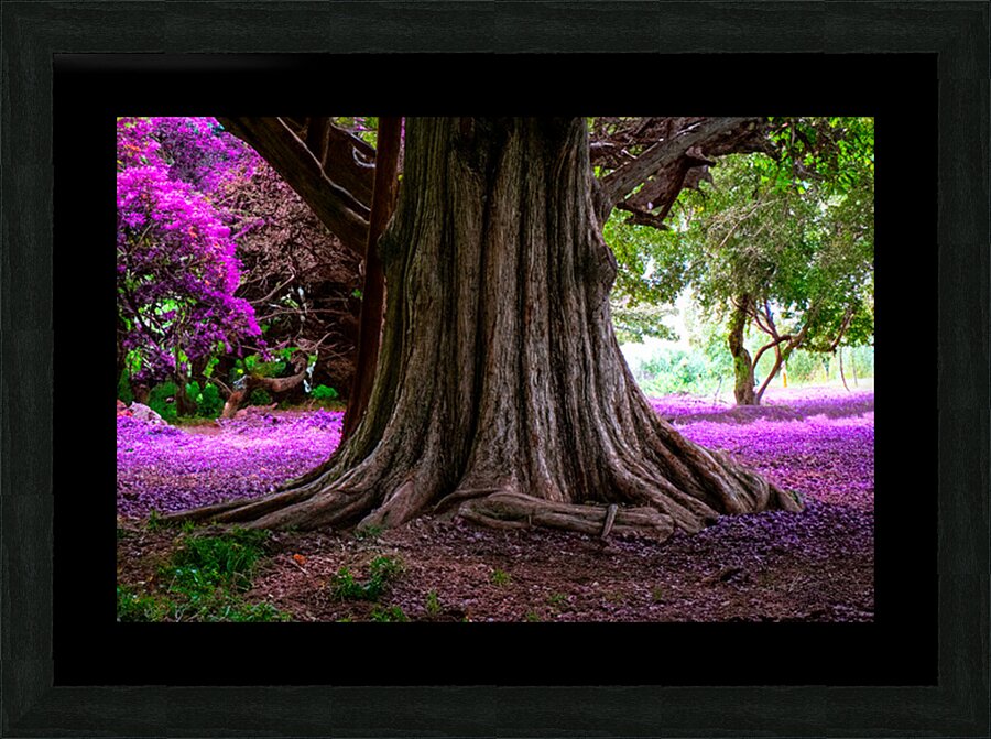 Majestic Roots Picture Frame Printing