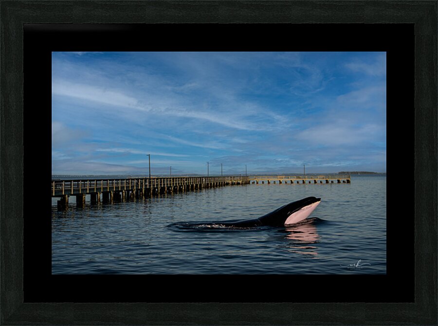 Serenity Interrupted Picture Frame print