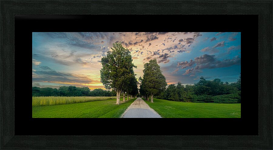 Pathway to Serenity Picture Frame print