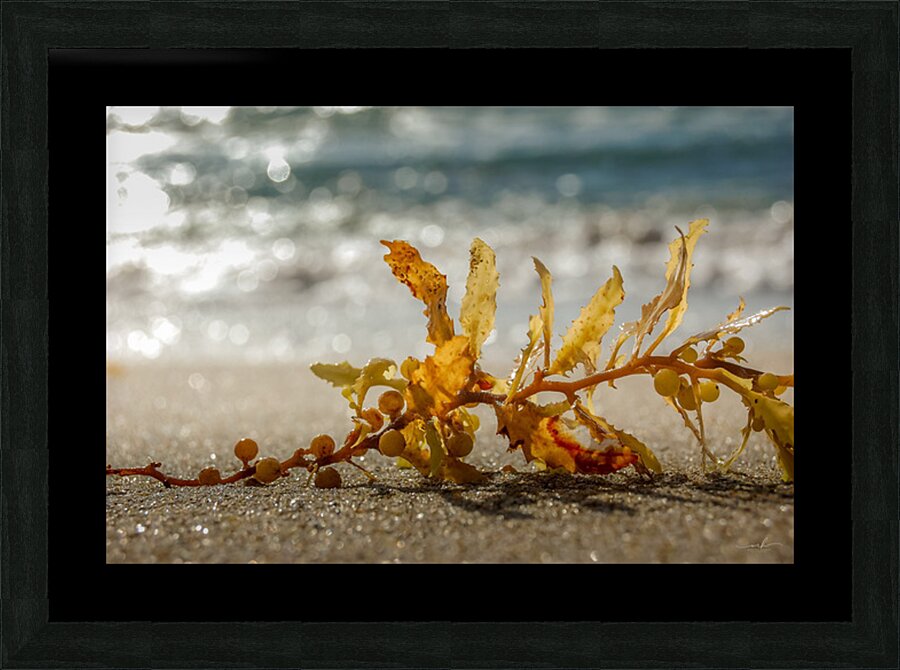 Tethered Light Picture Frame print