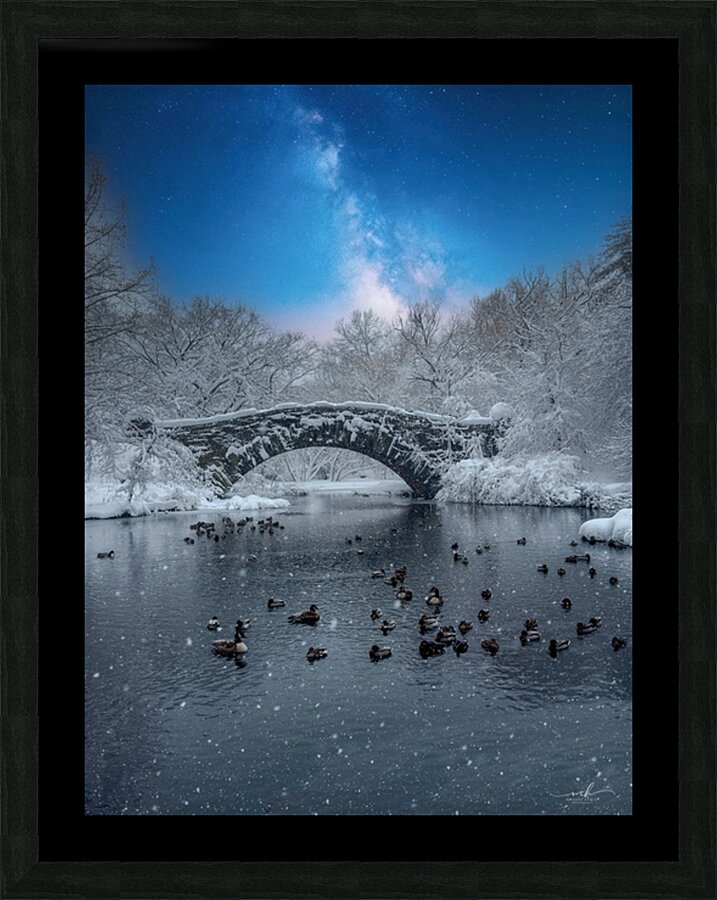 Stillness Beneath the Winter Bridge Picture Frame print