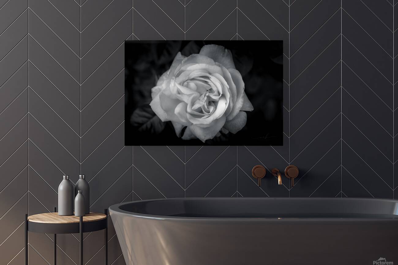 Timeless Elegance Reproduction