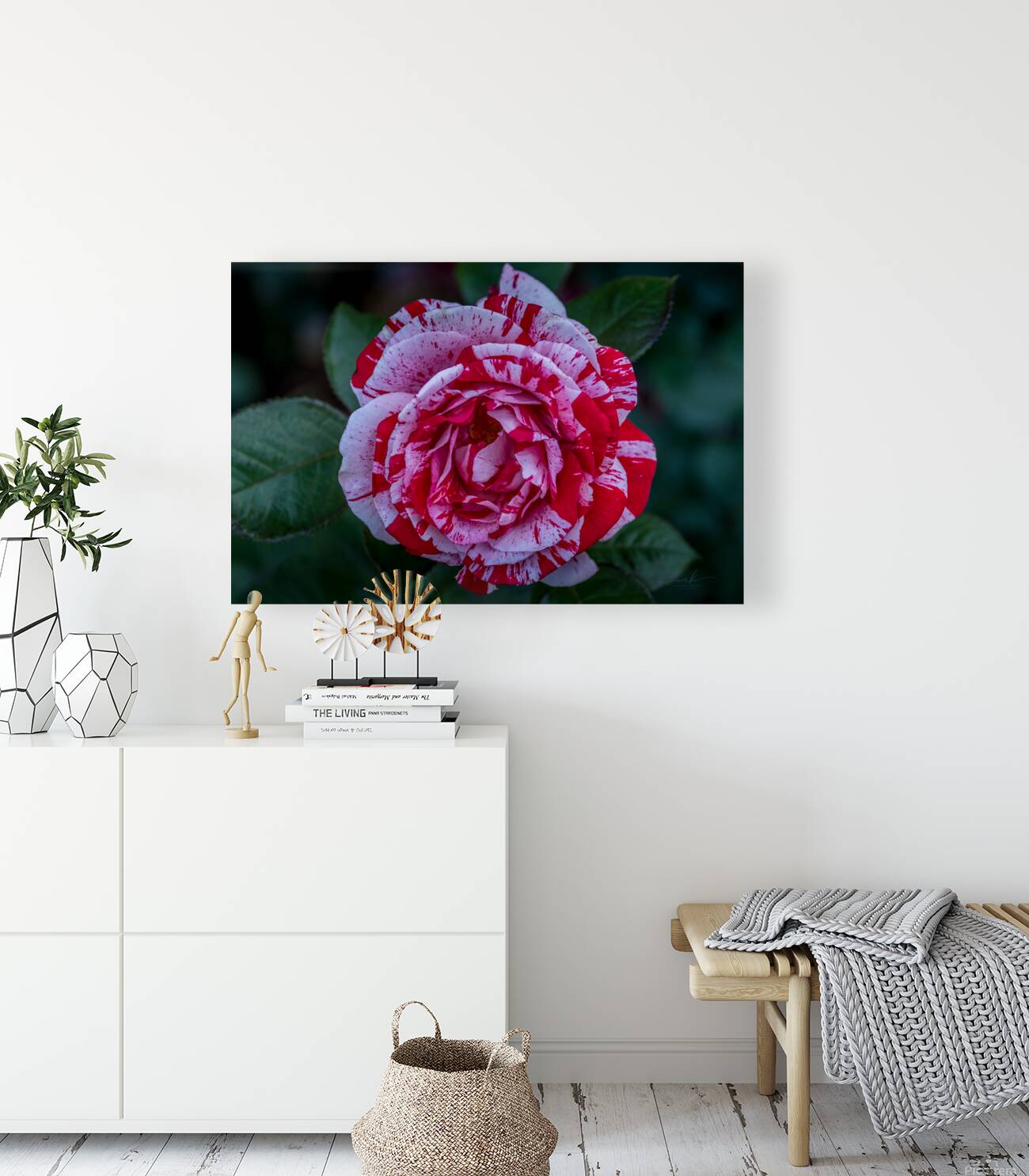 Peppermint Bloom Reproduction