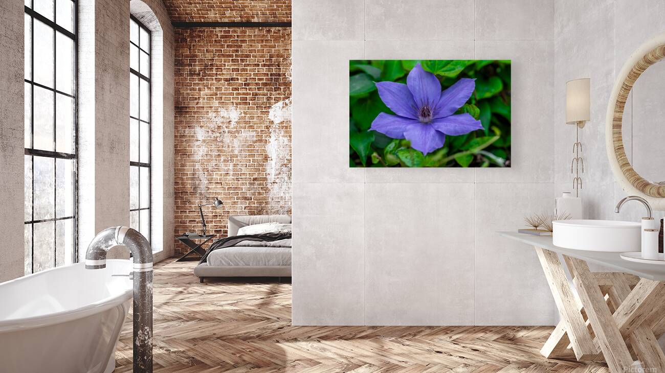 Radiant Bloom  Reproduction