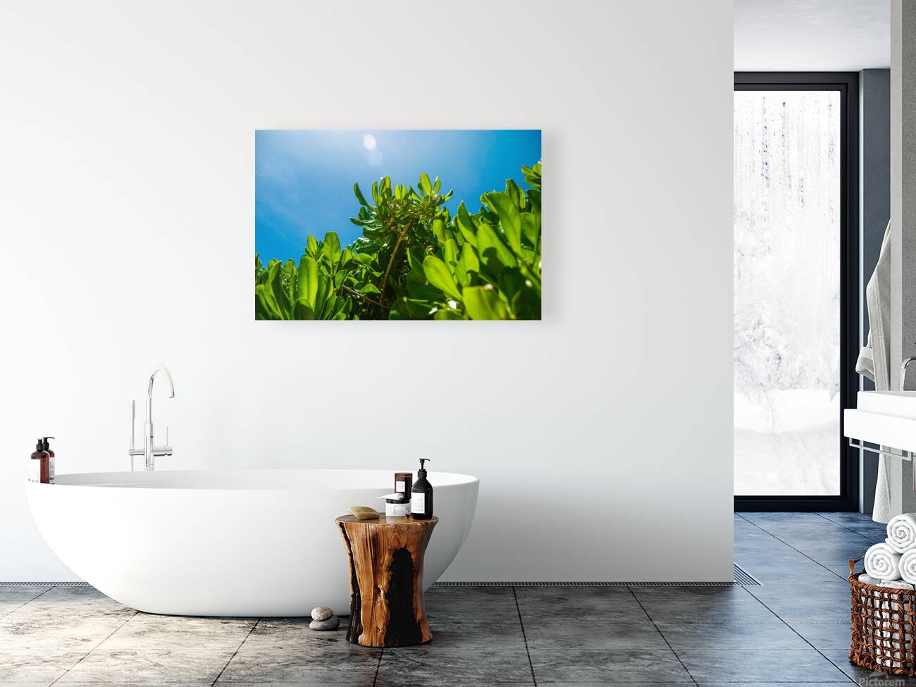 Upward Bloom Reproduction