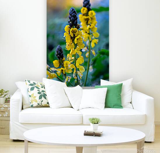 Whispers of Bloom and Light Reproduction