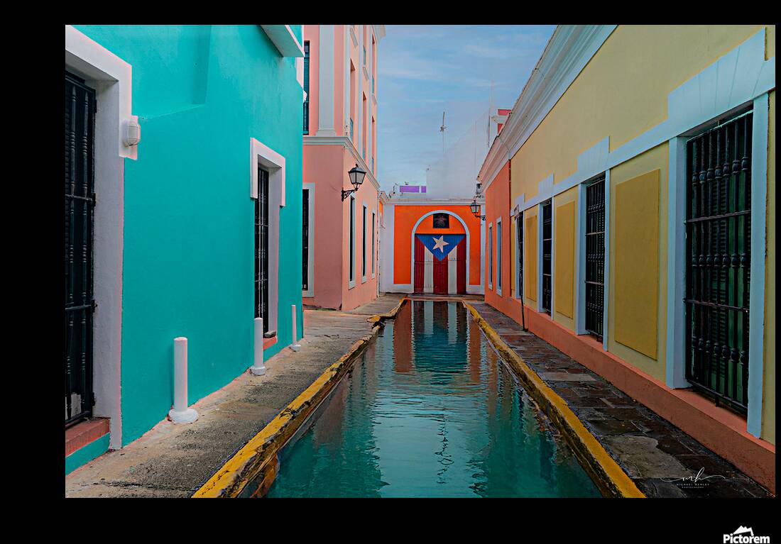 Alley of Pride and Reflection Reproduction