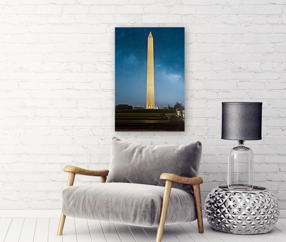 Sentinel Under Stars Reproduction