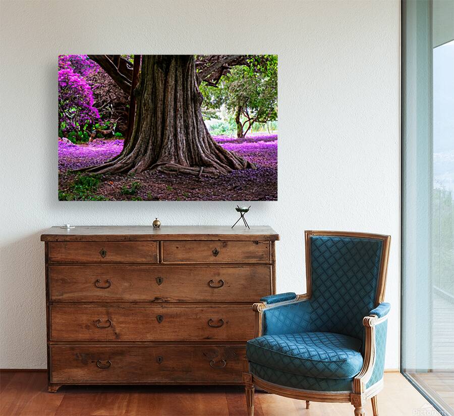 Majestic Roots Reproduction